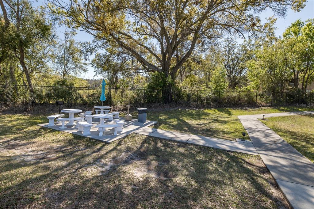 4933 Myrtle Oak Drive, Unit 23 New Port Richey, FL 34653 - Photo 25 of 26