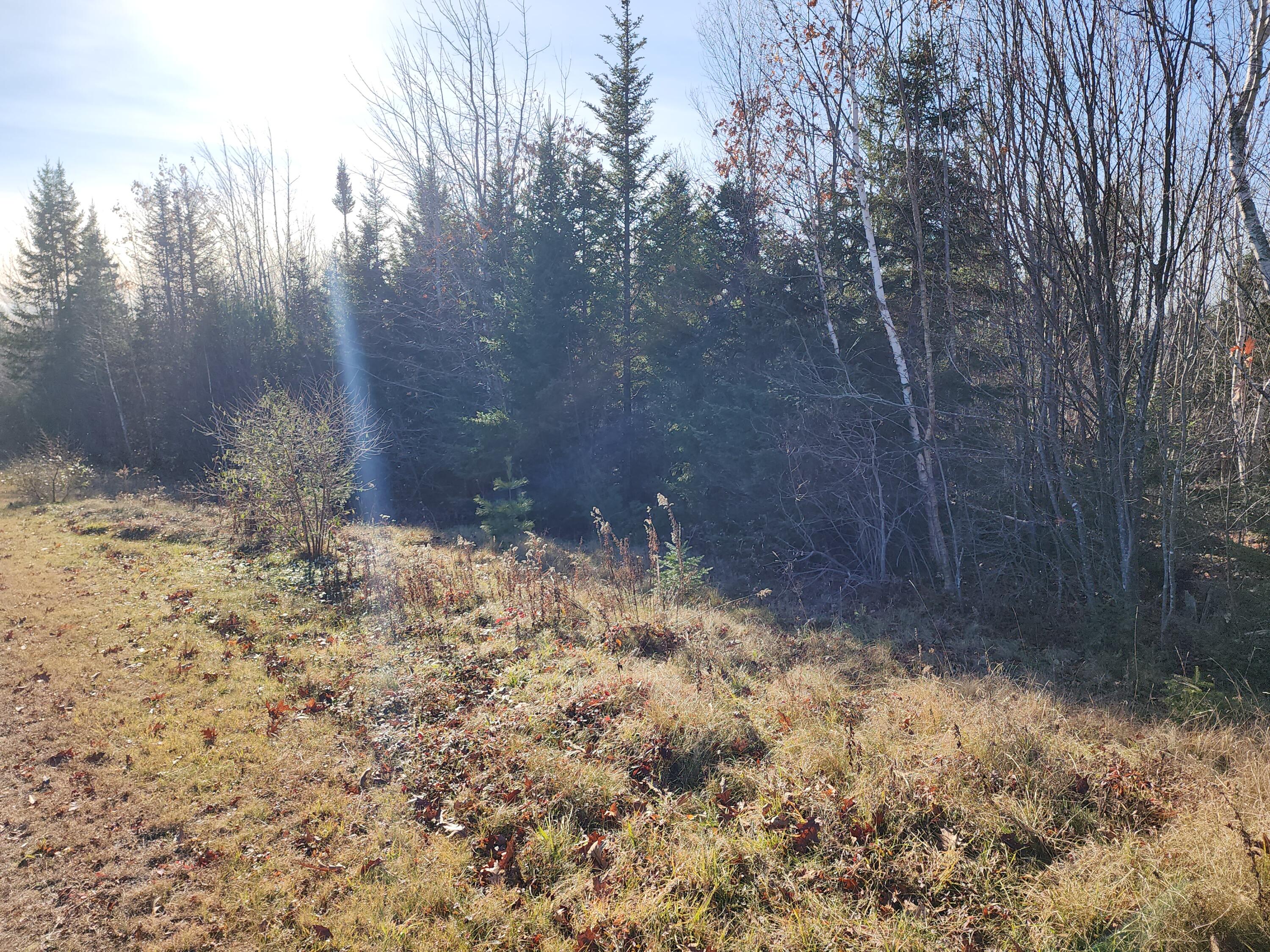 40 Sandy Ridge Lane Searsport, ME 04974 - Photo 3 of 9 20231121_131315