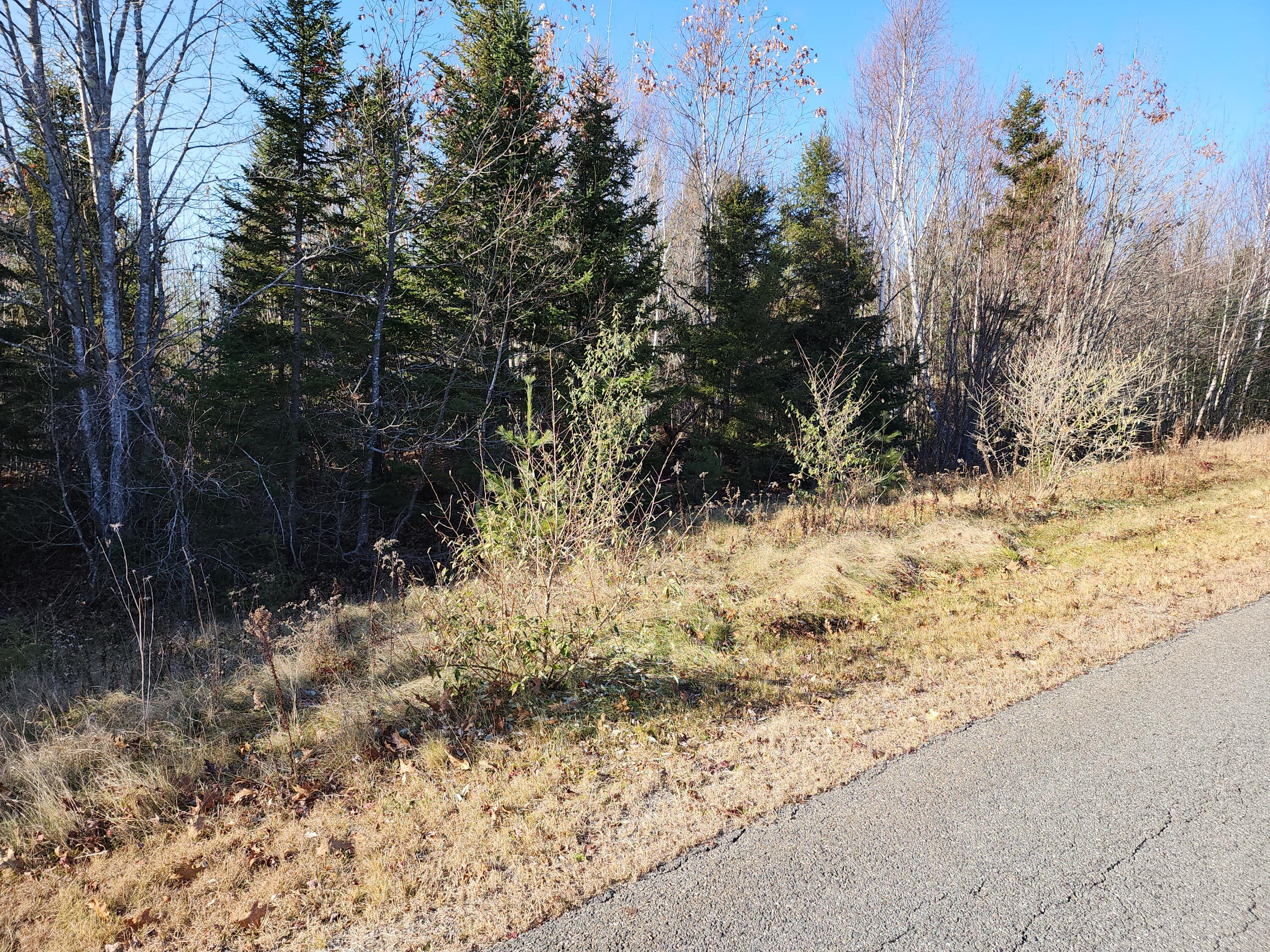 40 Sandy Ridge Lane Searsport, ME 04974 - Photo 5 of 9 20231121_131232