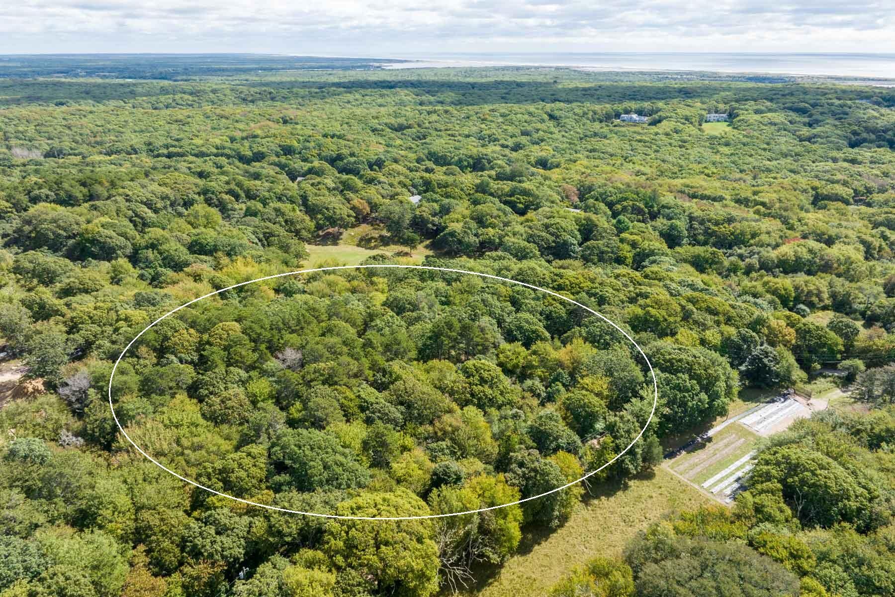 21 Tea Lane Chilmark, MA 02535 - Photo 11 of 11 21 Tea Lane