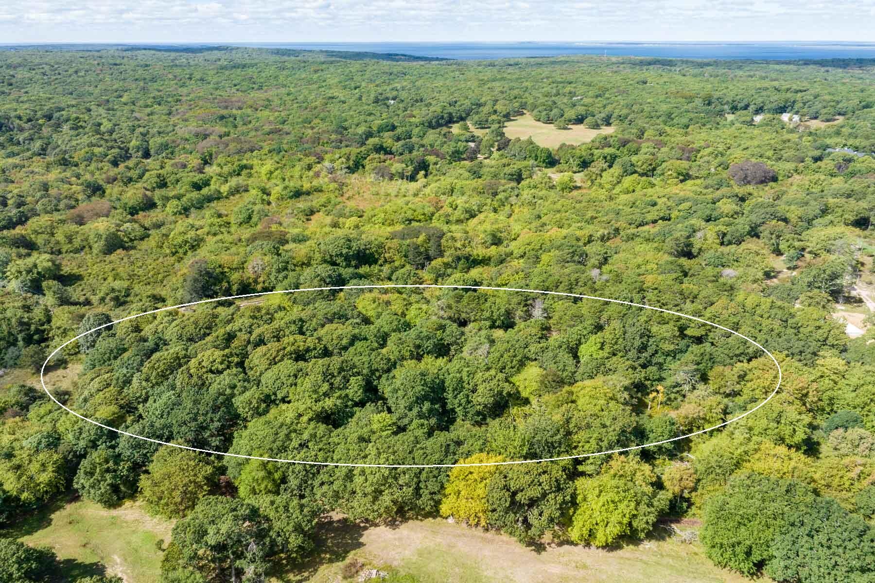 21 Tea Lane Chilmark, MA 02535 - Photo 8 of 11 21 Tea Lane