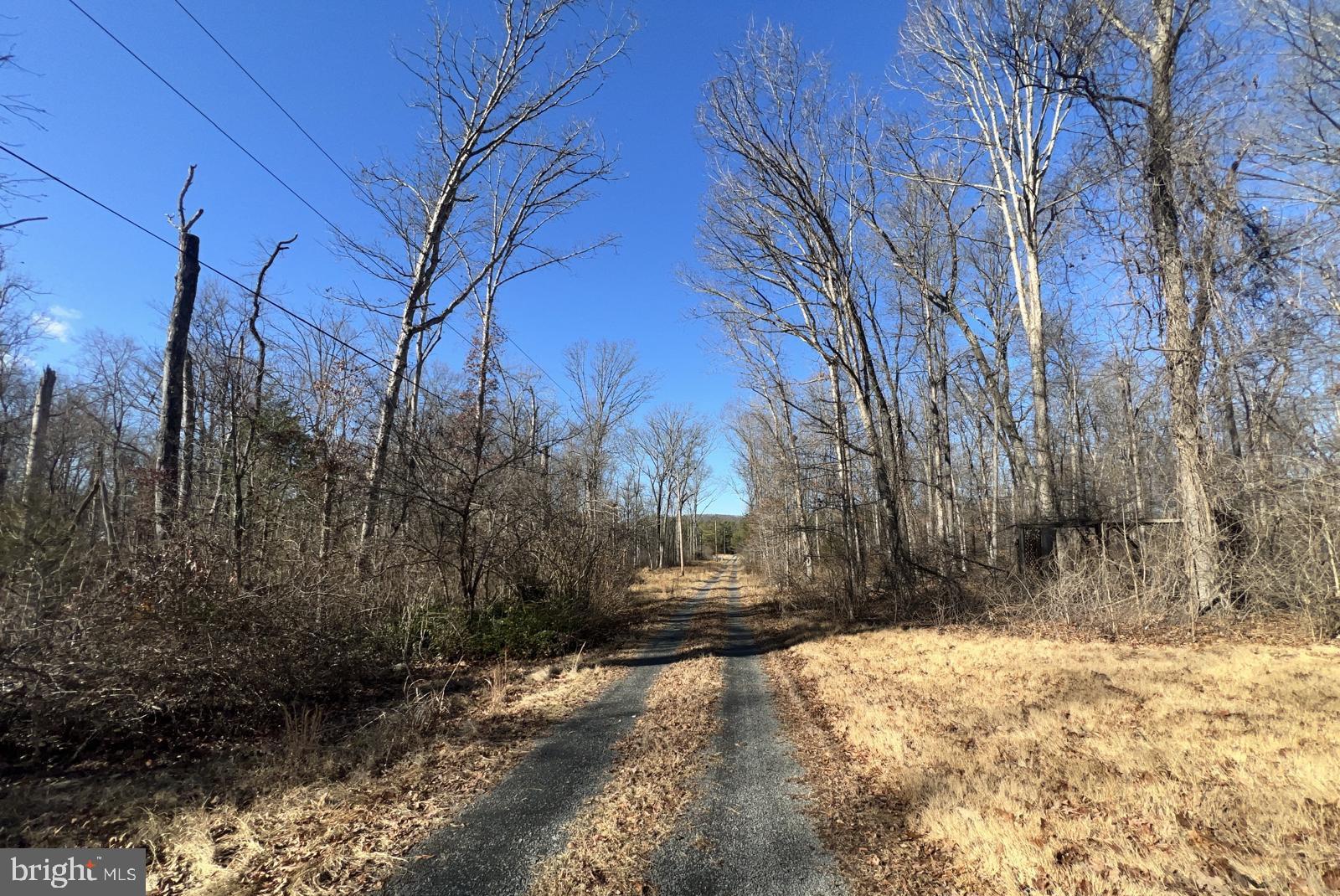 5709 Turner Road Broad Run, VA 20137 - Photo 17 of 17 Serene path through winter woods.