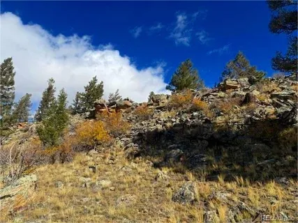 $70,000 | 44 Arthur's Court, Fairplay, CO 80440