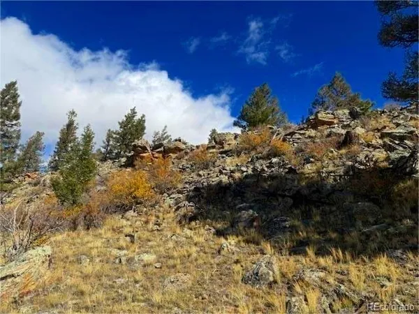 $70,000 | 44 Arthur's Court, Fairplay, CO 80440