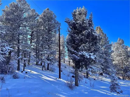 a tree in the middle of a building