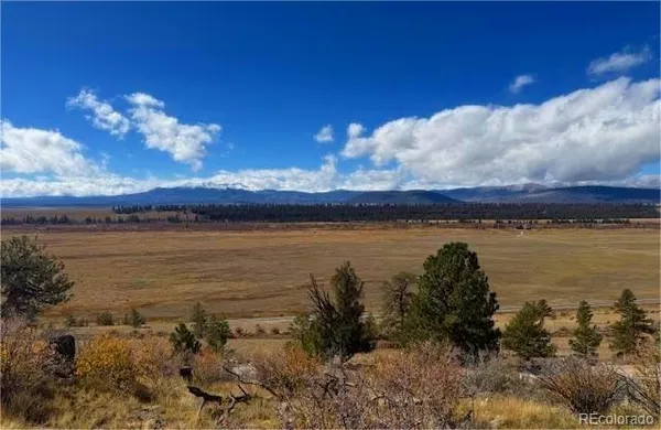 $70,000 | 44 Arthur's Court, Fairplay, CO 80440