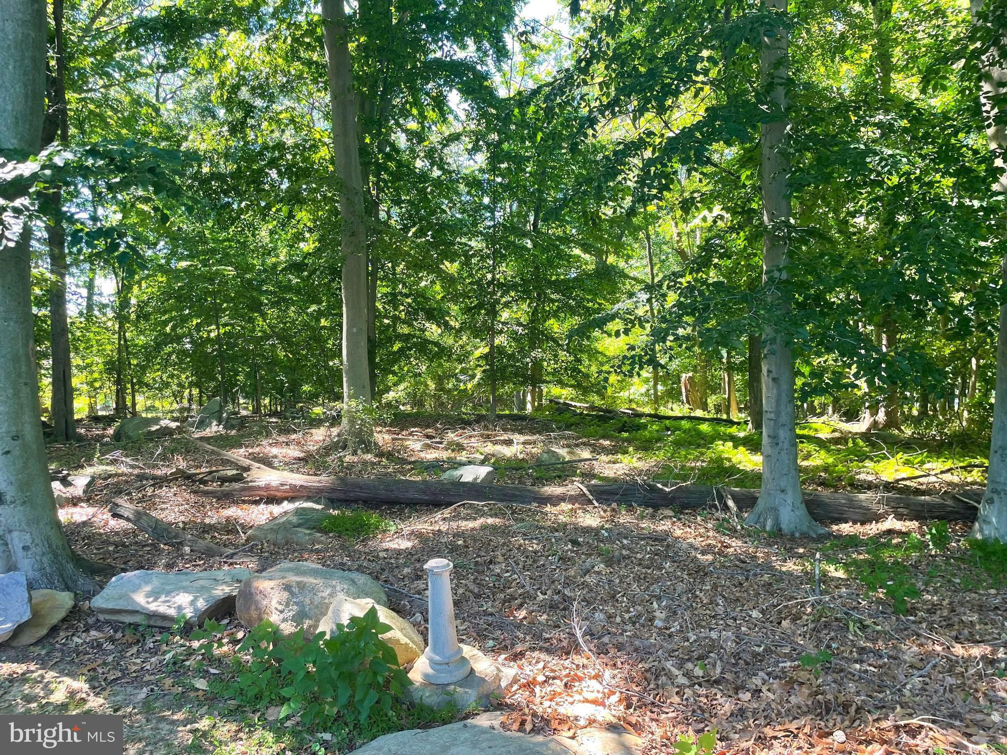 1453 Makefield Road Yardley, PA 19067 - Photo 42 of 46 Privacy Abounds