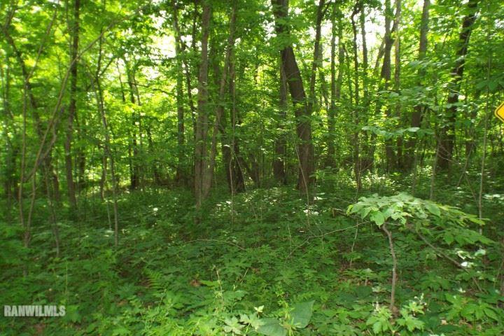 5341 East Bethel Road Stockton, IL 61085 - Photo 23 of 25 Gallery Image 23