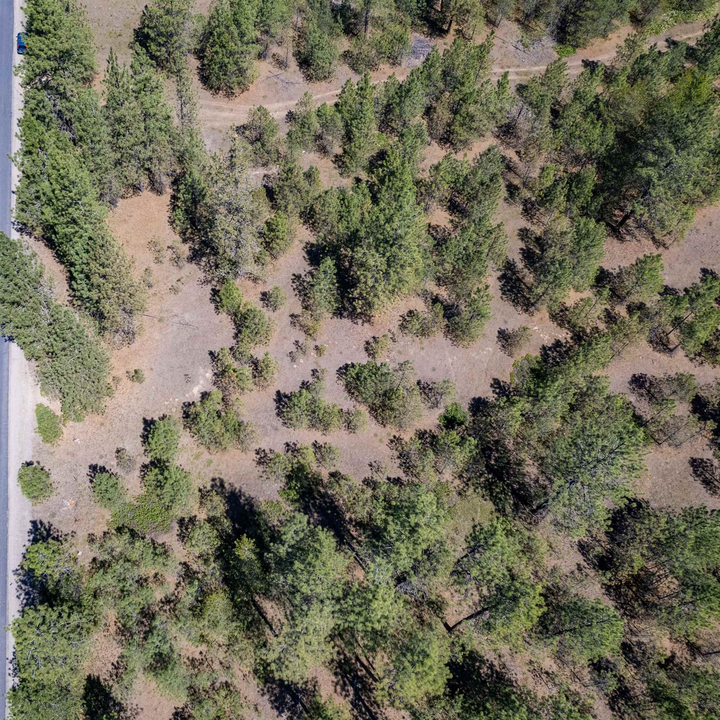 29-xxx North Hardesty Road Chattaroy, WA 99003 - Photo 12 of 40