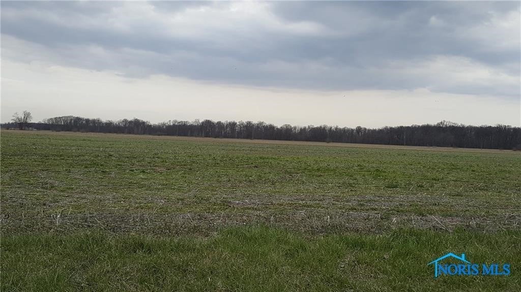 5284 Co Road Liberty Center, OH 43532 - Photo 3 of 7 Gallery Image 3