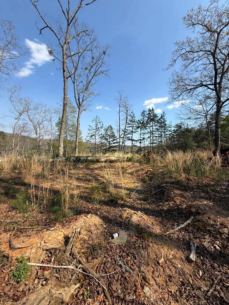 123 Longridge Road Murphy, NC 28906 - Photo 2 of 6