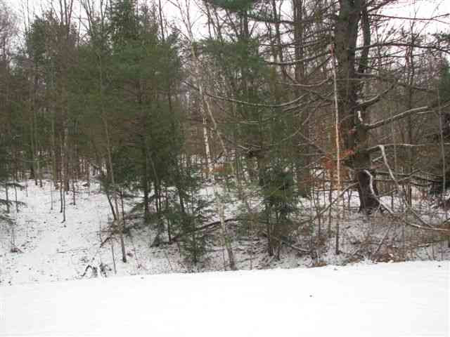 0 Manor Road, Unit MANOR CREEK ROAD Gilboa, NY 12076 - Photo 1 of 4 Photo 1