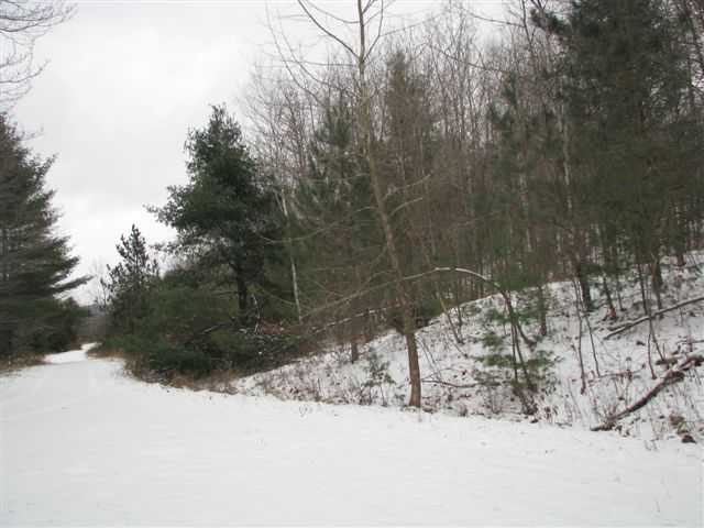 0 Manor Road, Unit MANOR CREEK ROAD Gilboa, NY 12076 - Photo 2 of 4 Photo 2