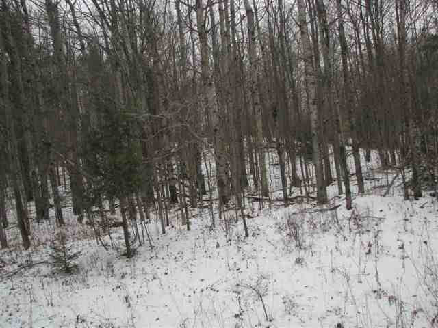 0 Manor Road, Unit MANOR CREEK ROAD Gilboa, NY 12076 - Photo 3 of 4 Photo 3