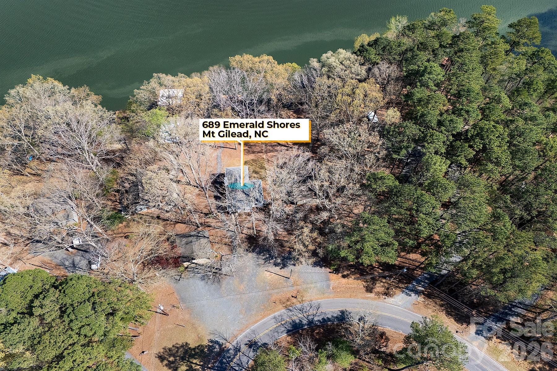 689 Emerald Shores Road Mount Gilead, NC 27306 - Photo 37 of 46 a view of a lake with a tree in the background