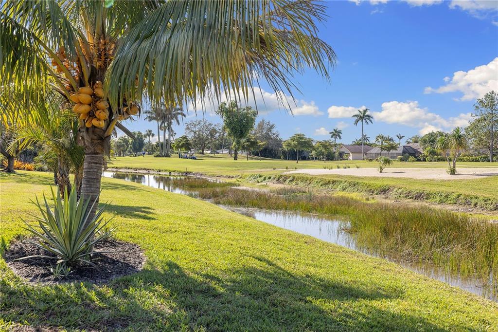 130 Torrey Pines Point Naples, FL 34113 - Photo 39 of 44 a view of an ocean