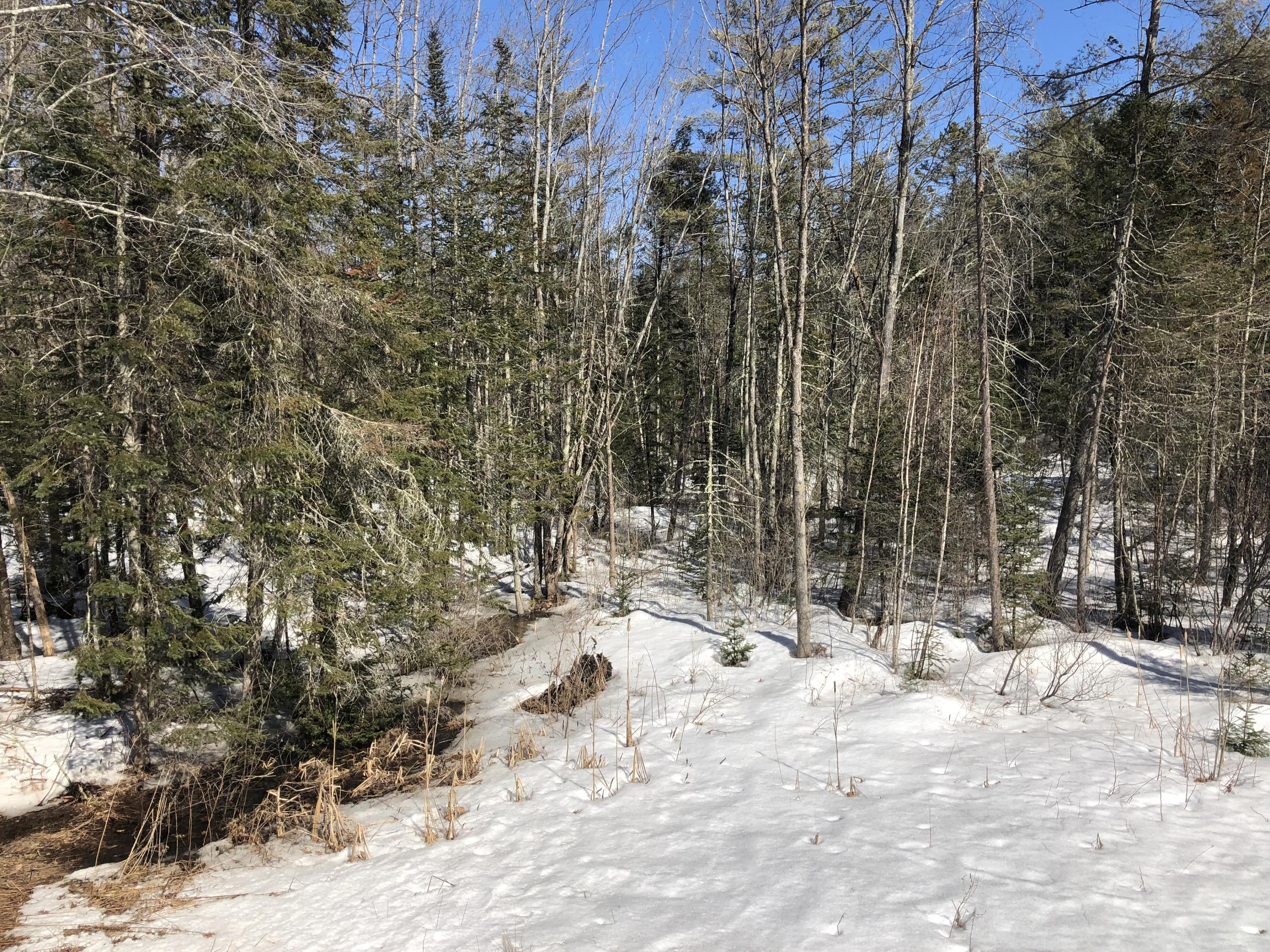 639 County Road Turner, ME 04282 - Photo 33 of 33 IMG_6422