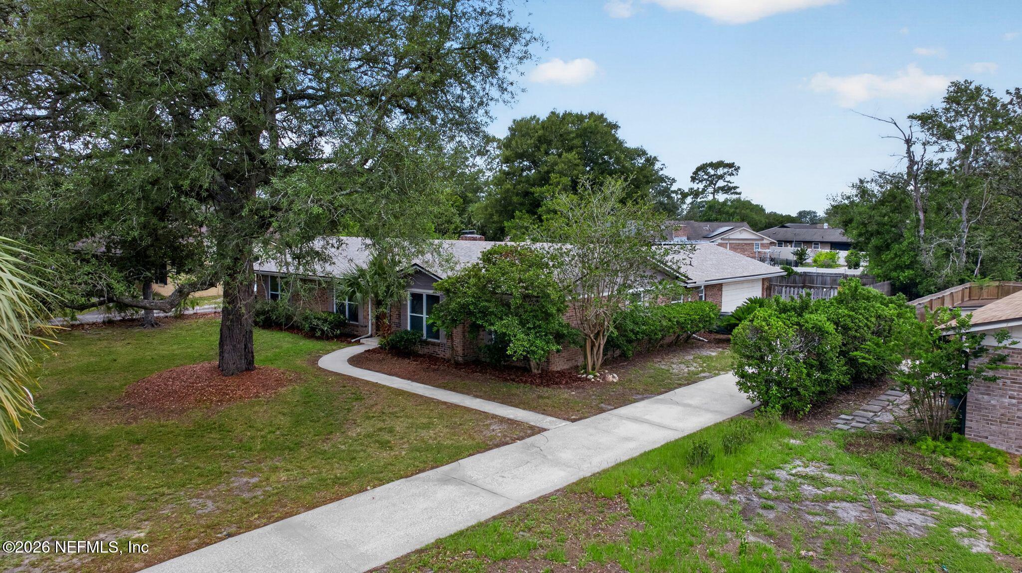 138 Ridgefield Court Orange Park, FL 32065 - Photo 50 of 64 a view of a backyard with potted plants and large trees
