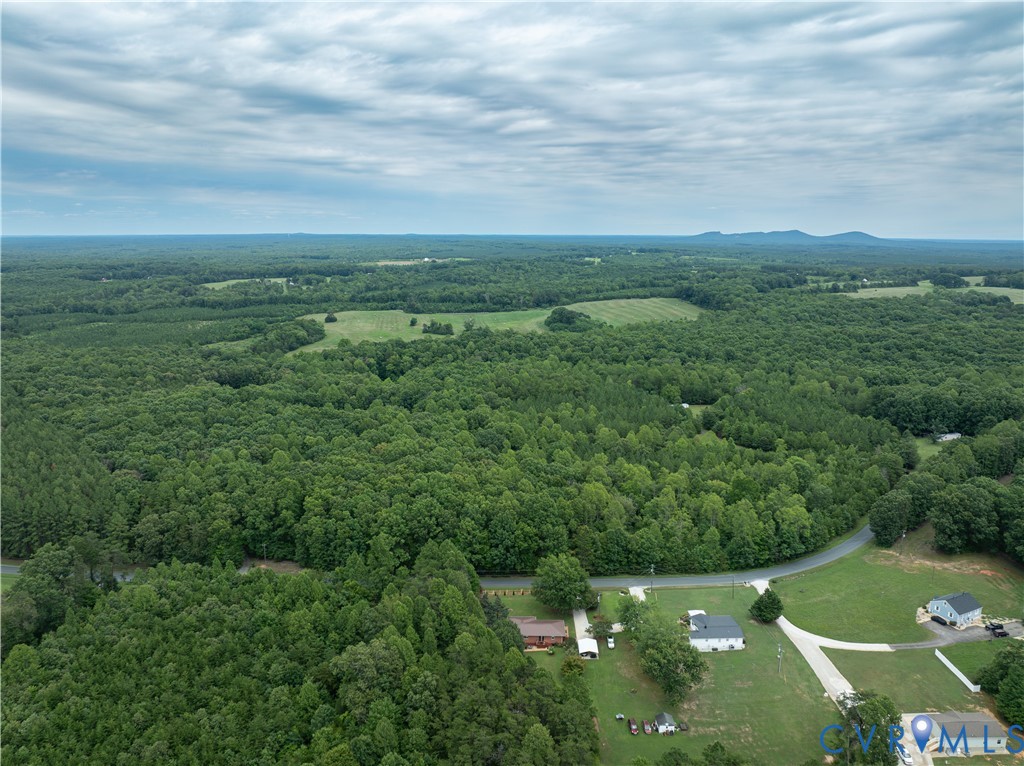 724 Perkins Mill Road Dillwyn, VA 23936 - Photo 4 of 10 Expansive rural landscape featuring dense woodland