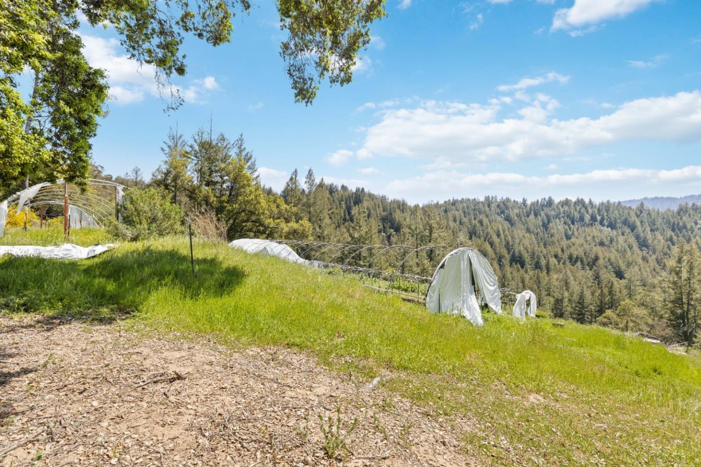 12 Doeg Road Boulder Creek, CA 95006 - Photo 8 of 17 Gallery Image 8