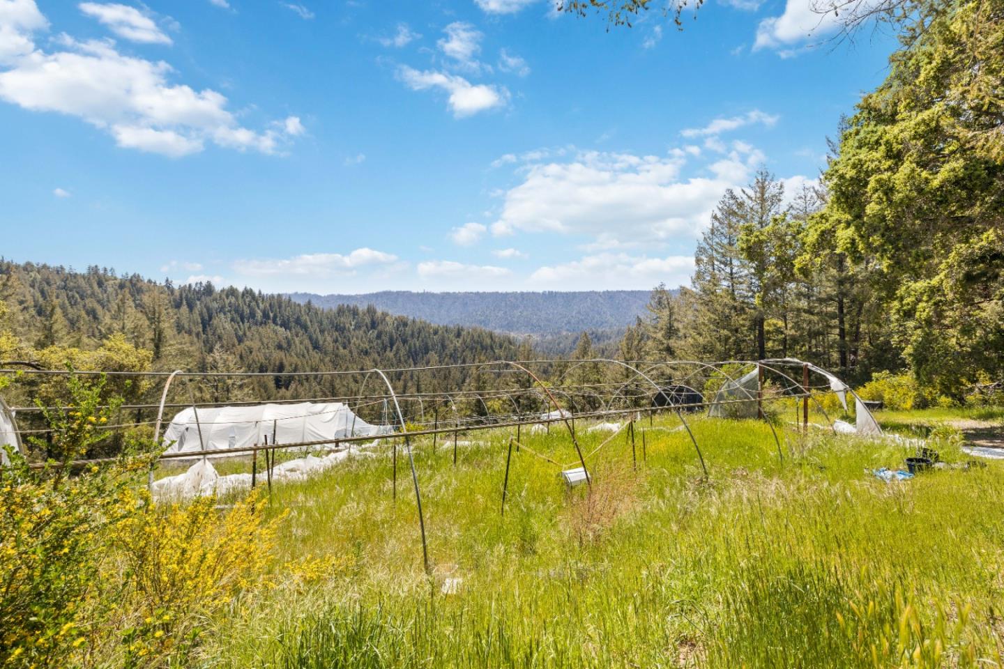 12 Doeg Road Boulder Creek, CA 95006 - Photo 10 of 17 Gallery Image 10