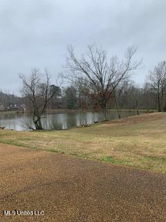 1450 Tara Lane Terry, MS 39170 - Photo 4 of 29 IMG_6020