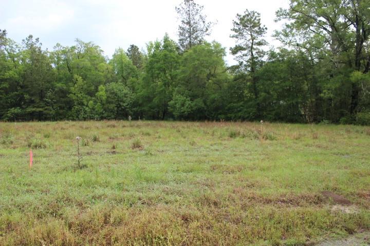 0 Lot 1 Purvis Road Independence, LA 70443 - Photo 1 of 3 Gallery Image 1