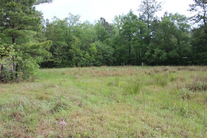 0 Lot 1 Purvis Road Independence, LA 70443 - Photo 3 of 3 Gallery Image 3