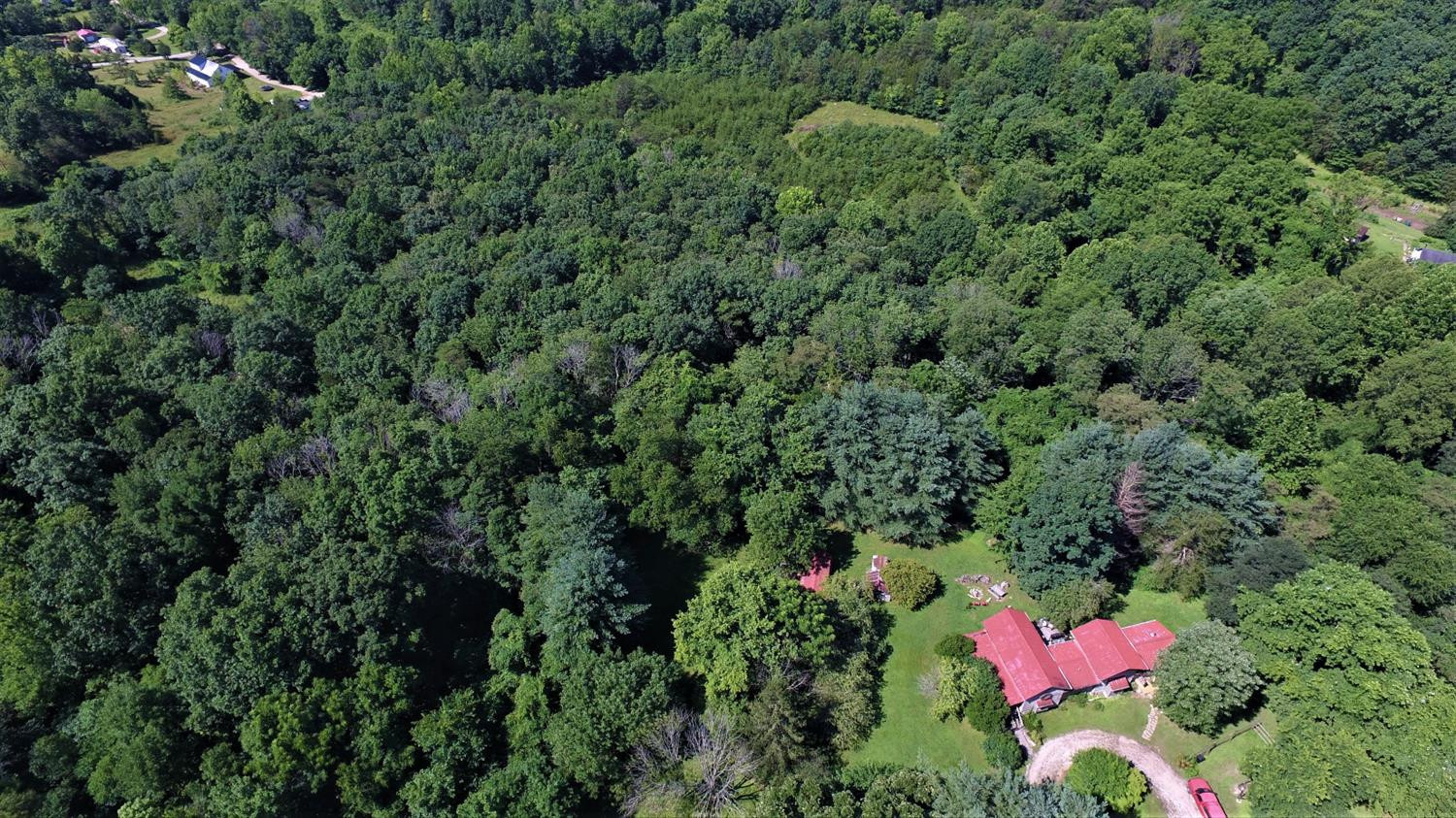 821 Sand Hill Road Irvine, KY 40336 - Photo 67 of 78 Surround by a total of 13 acres, mostly