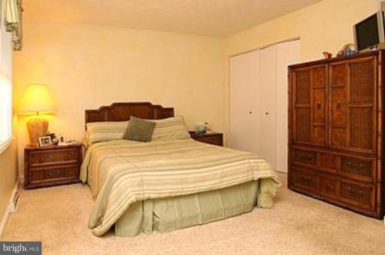 1007 Horizon Road Mount Airy, MD 21771 - Photo 14 of 18 Master Bedroom
