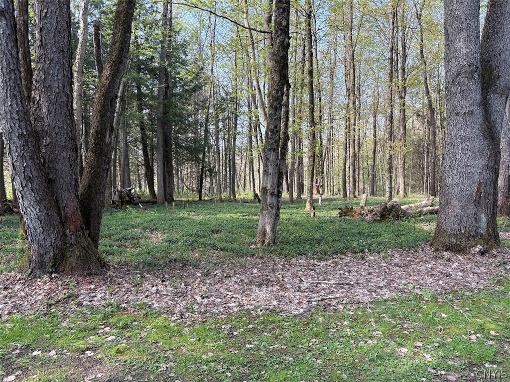 10827 Highway 365 Remsen, NY 13438 - Photo 10 of 26