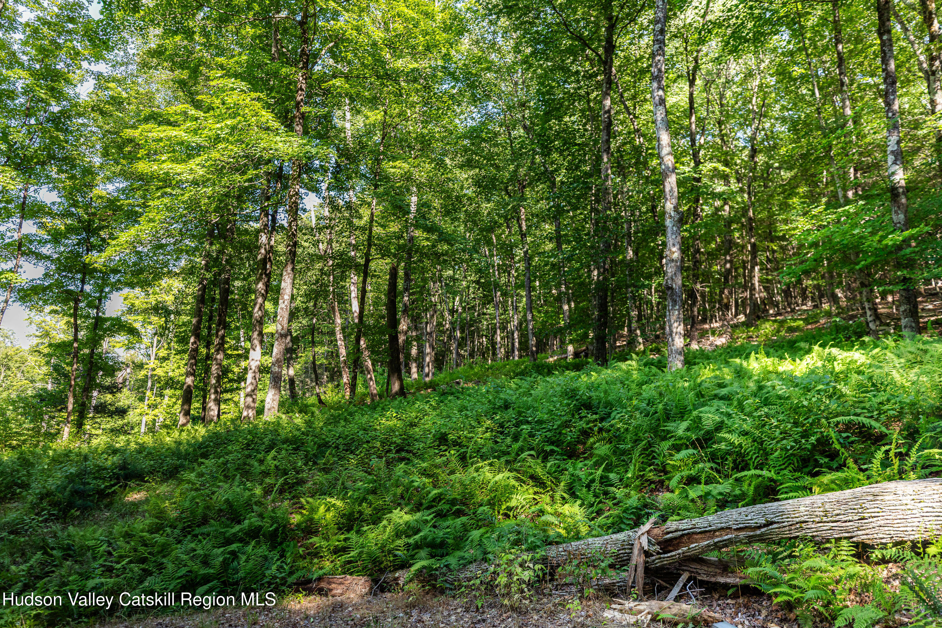 465 Sickler Road Willow, NY 12495 - Photo 24 of 24 Copy of 20260717_Sickler_086