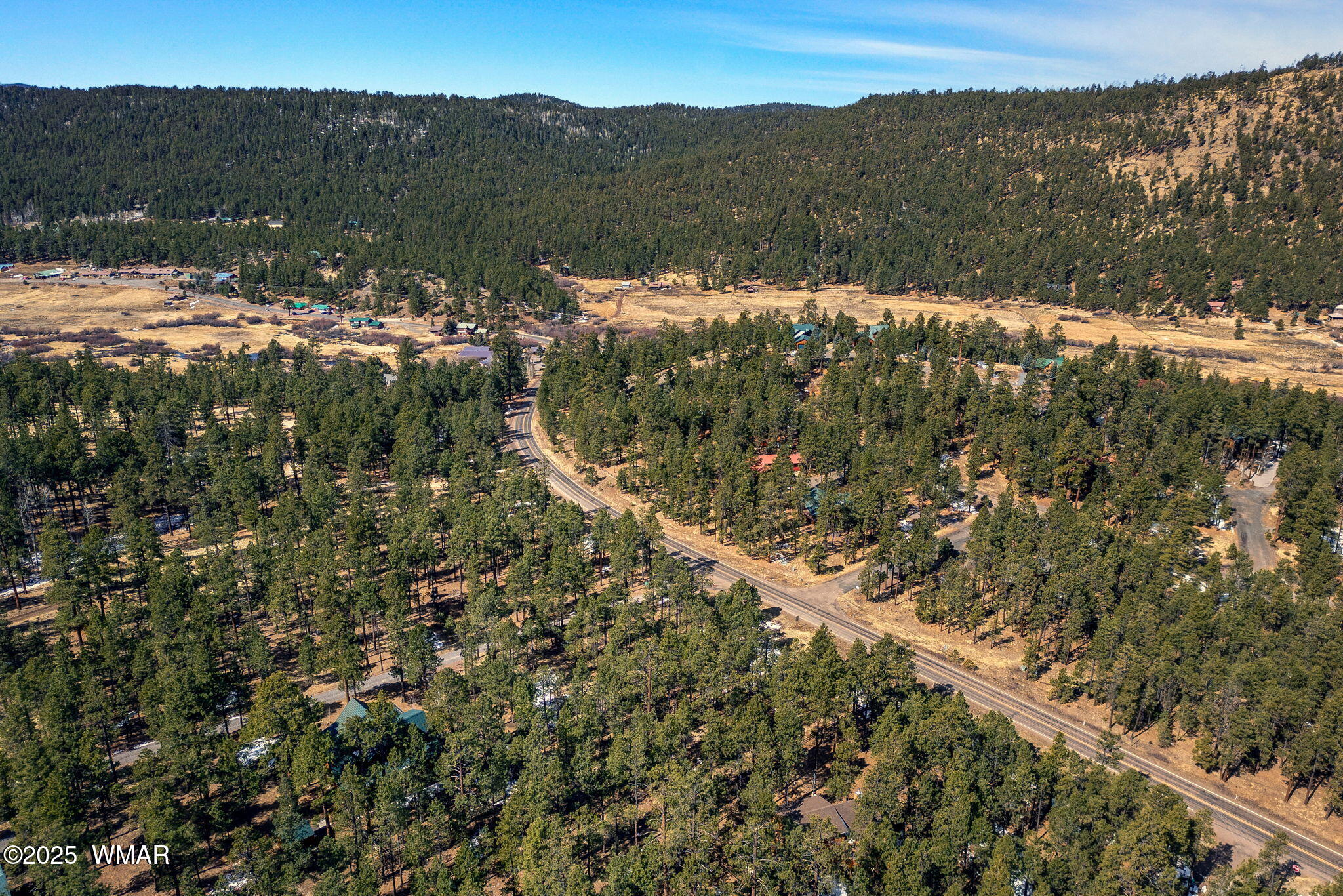 3 N1062 Greer, AZ 85927 - Photo 13 of 15 a view of a forest with a mountain