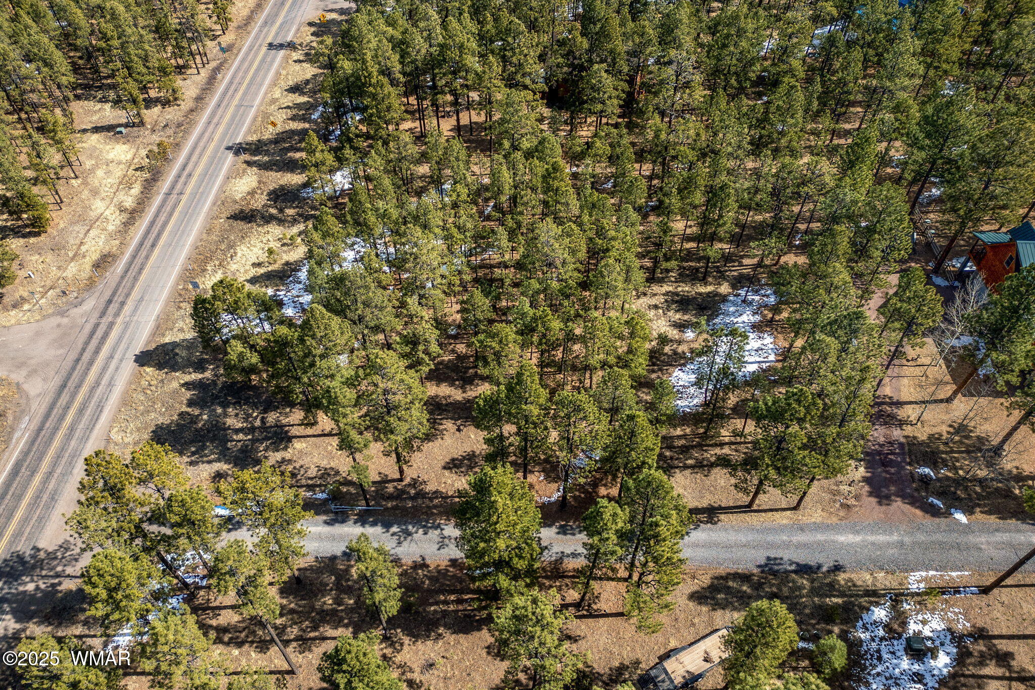 3 N1062 Greer, AZ 85927 - Photo 4 of 15 a view of a yard with a tree