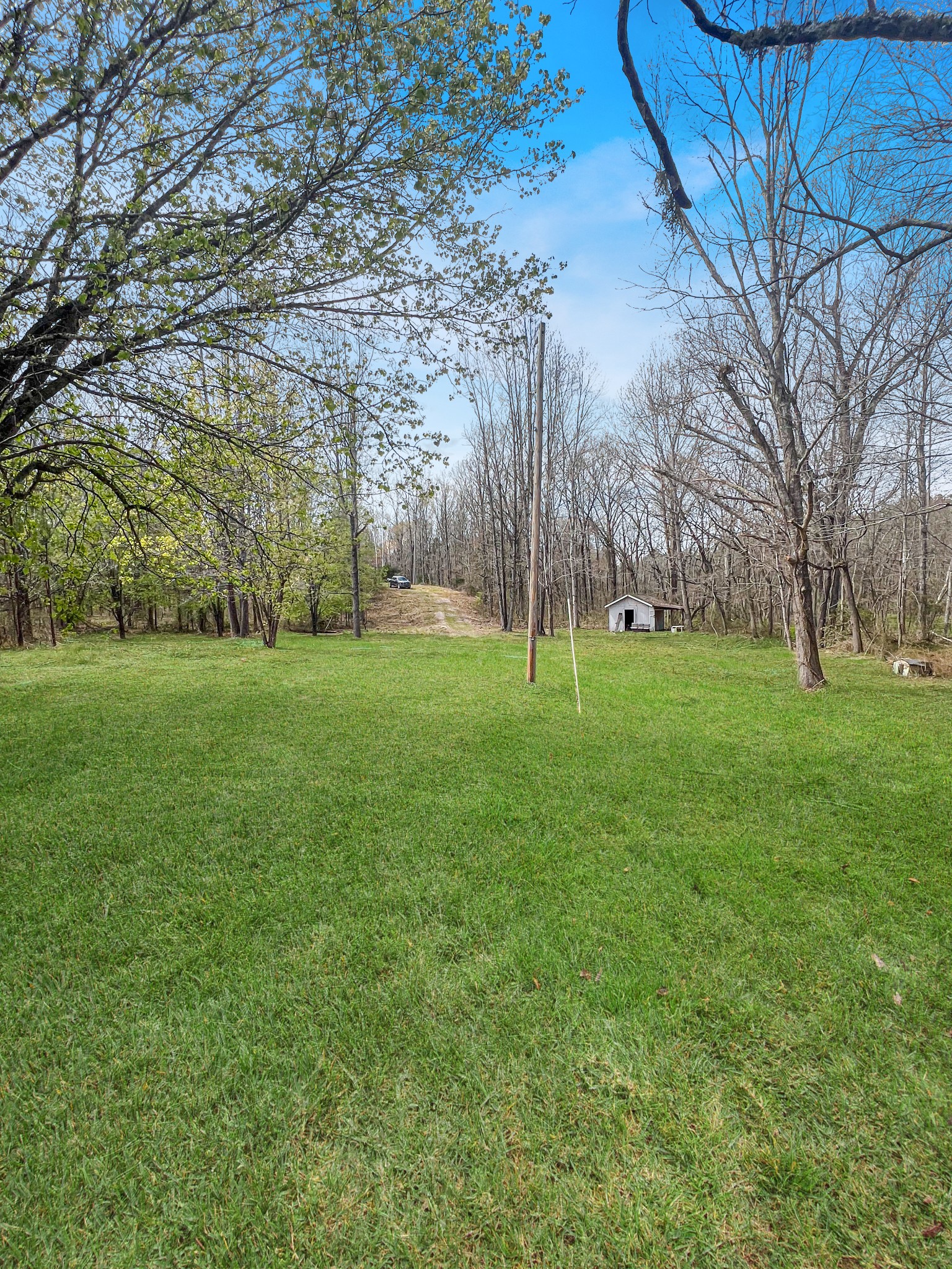 a view of a grassy field with trees