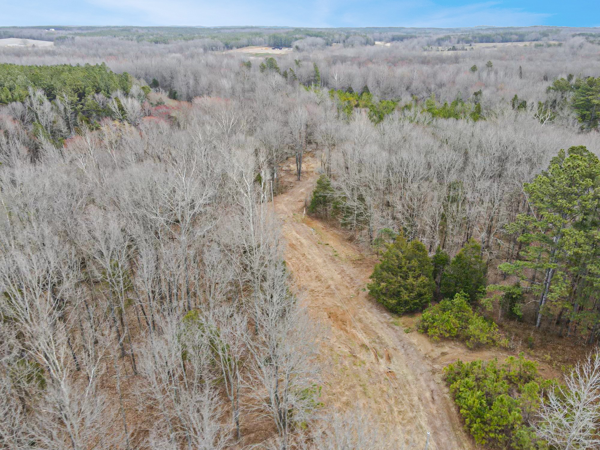 351 Malone Cemetery Road Finger, TN 38334 - Photo 13 of 16 a view of a dry yard with trees