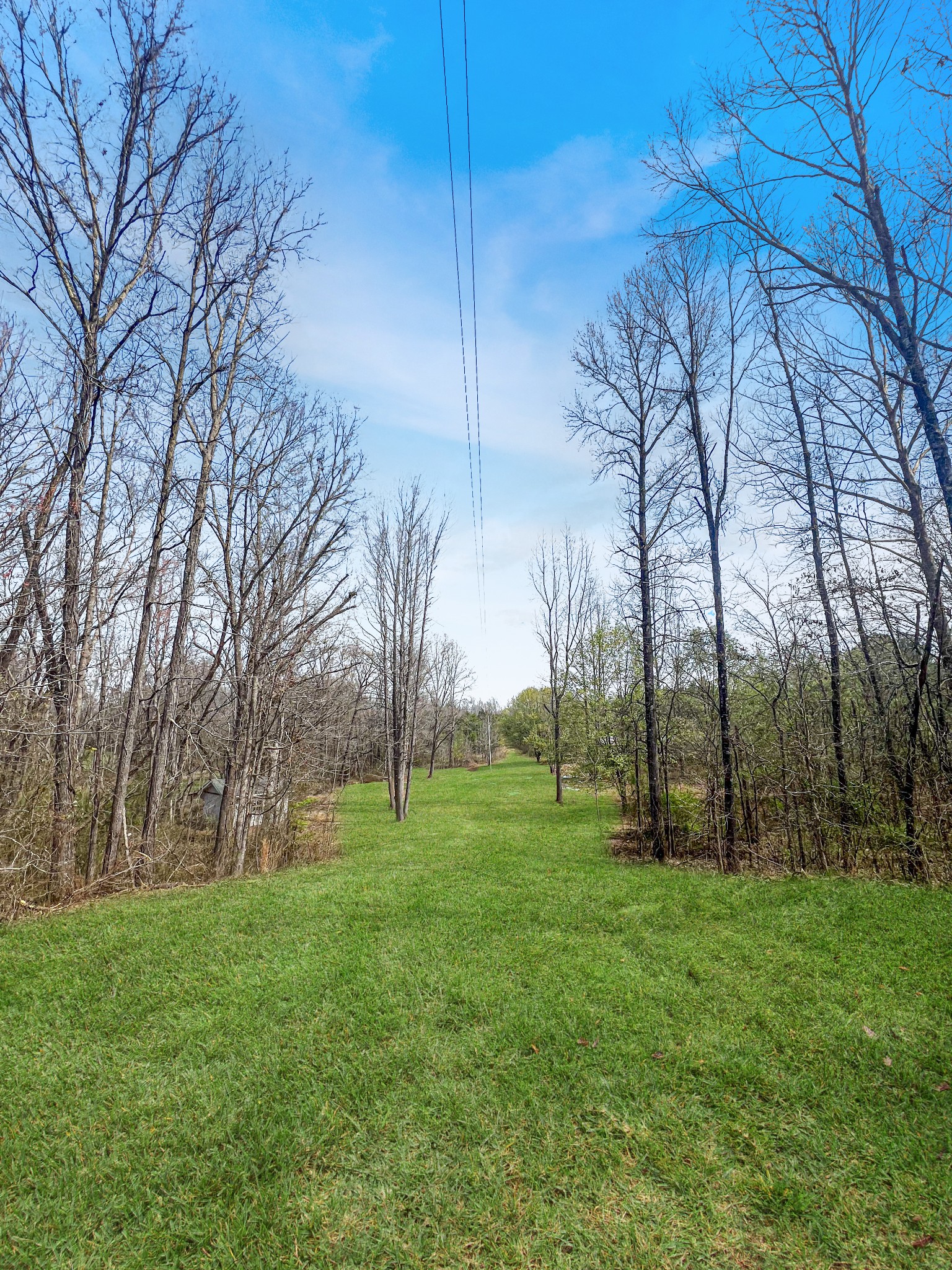 351 Malone Cemetery Road Finger, TN 38334 - Photo 2 of 16 a view of a park with large trees
