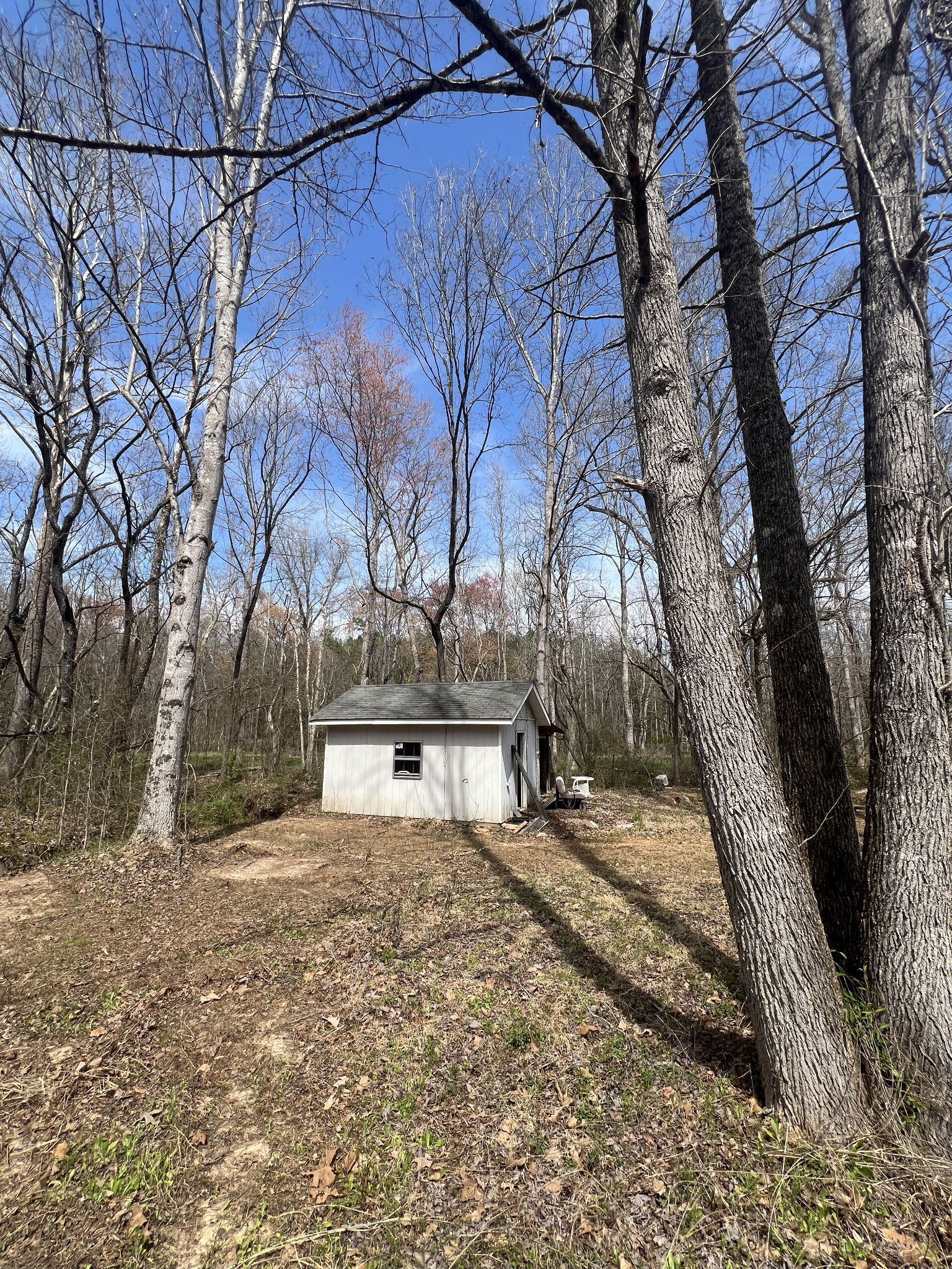 351 Malone Cemetery Road Finger, TN 38334 - Photo 3 of 16 a view of a yard with a tree