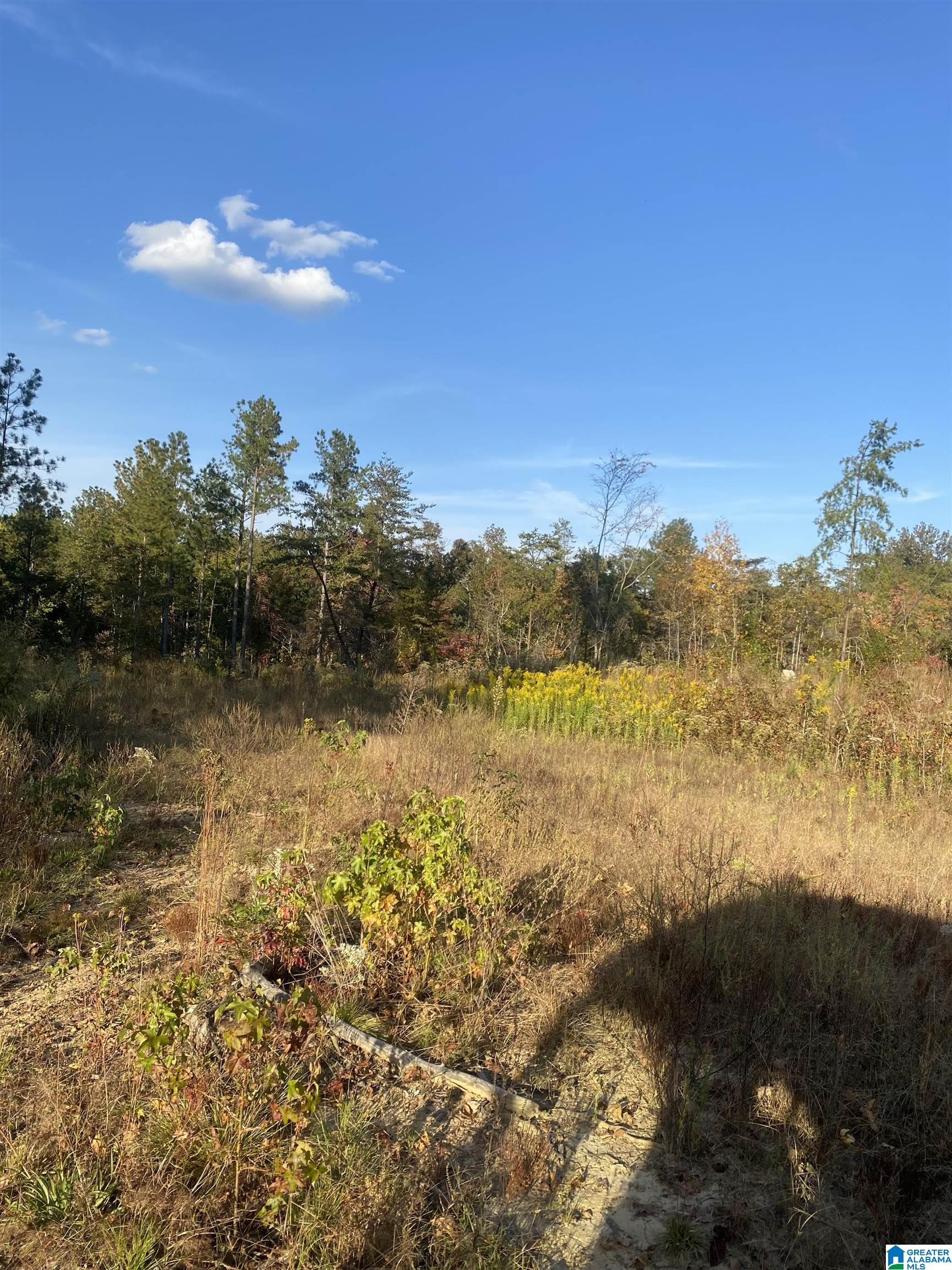 0 Frost Road, Unit 100 / ACRES Springville, AL 35146 - Photo 12 of 60