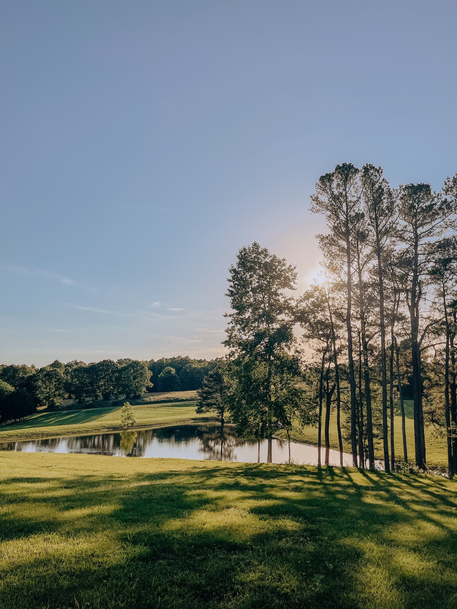 a swimming pool view