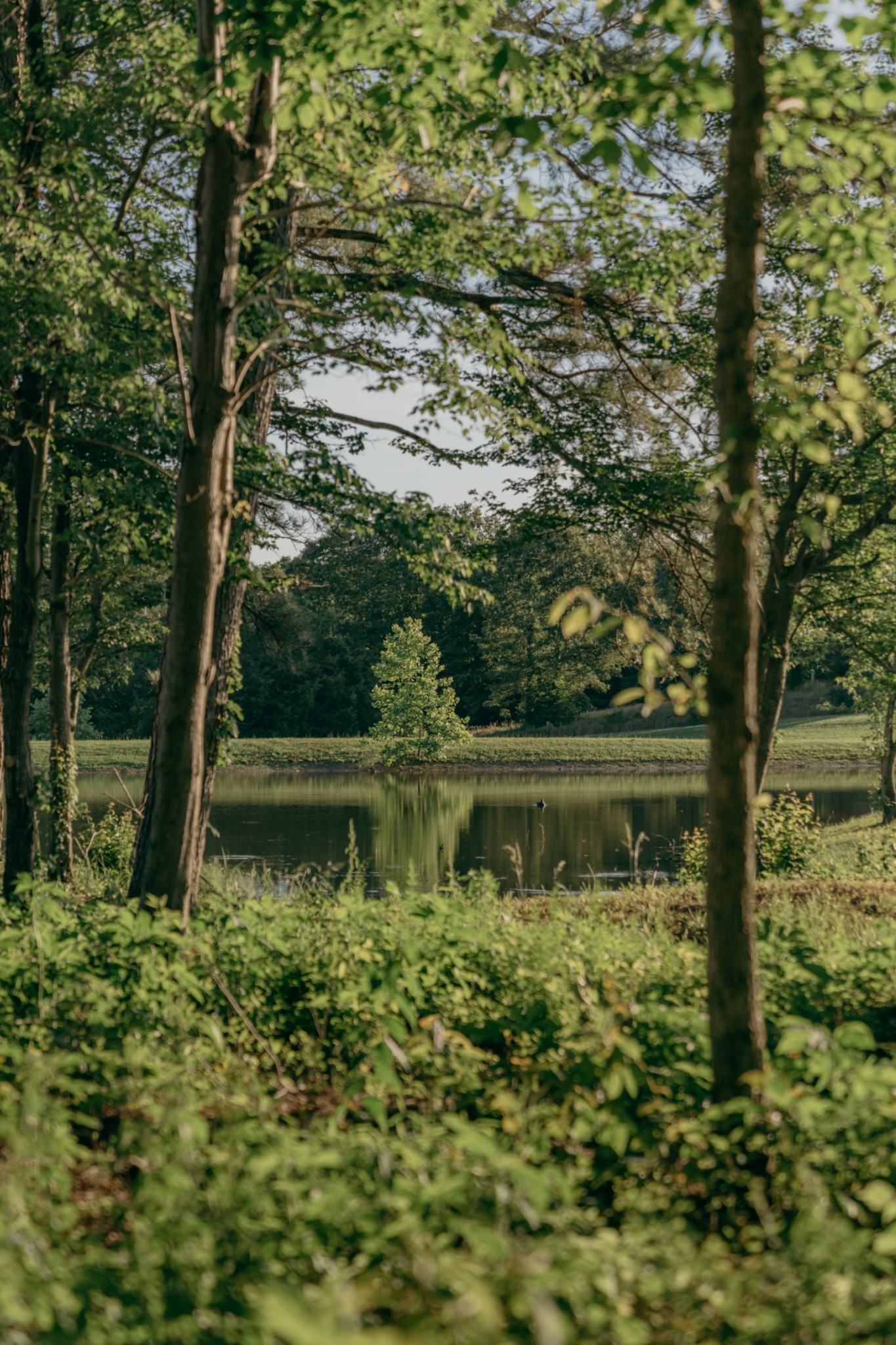 7720 Smith Road Primm Springs, TN 38476 - Photo 2 of 37 a view of lake with a tree