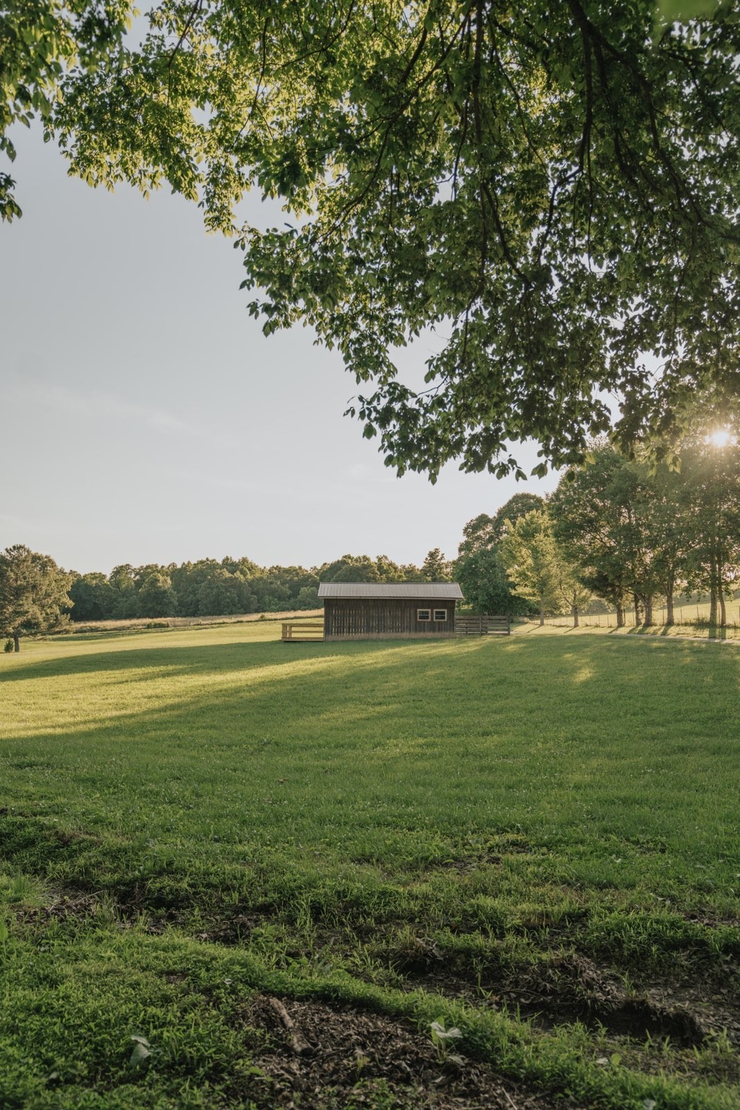 7720 Smith Road Primm Springs, TN 38476 - Photo 32 of 37 a view of an ocean from a yard