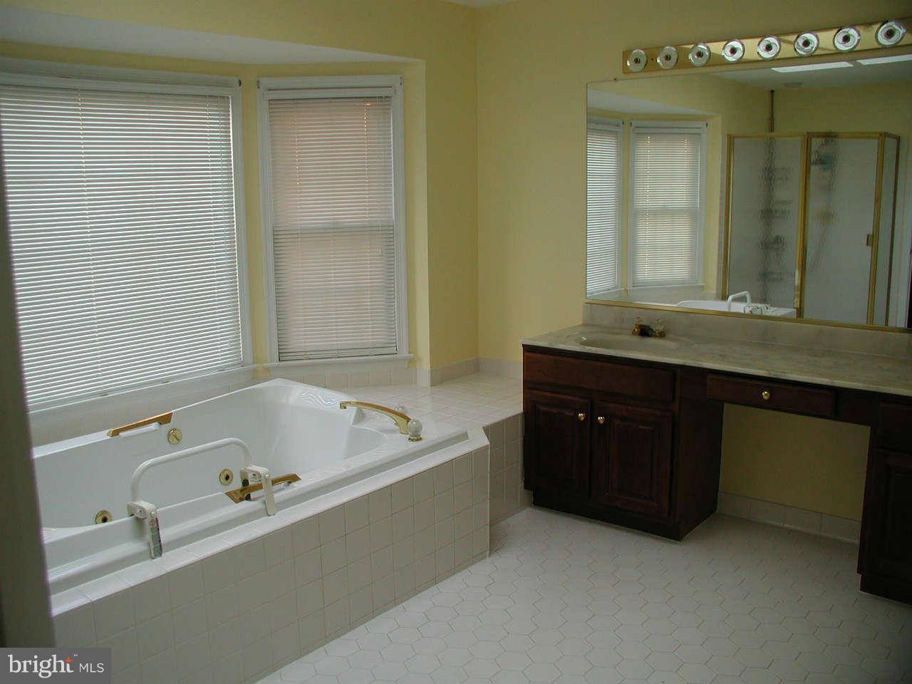 2206 Central Avenue Vienna, VA 22182 - Photo 5 of 20 a bathroom with a tub sink and mirror
