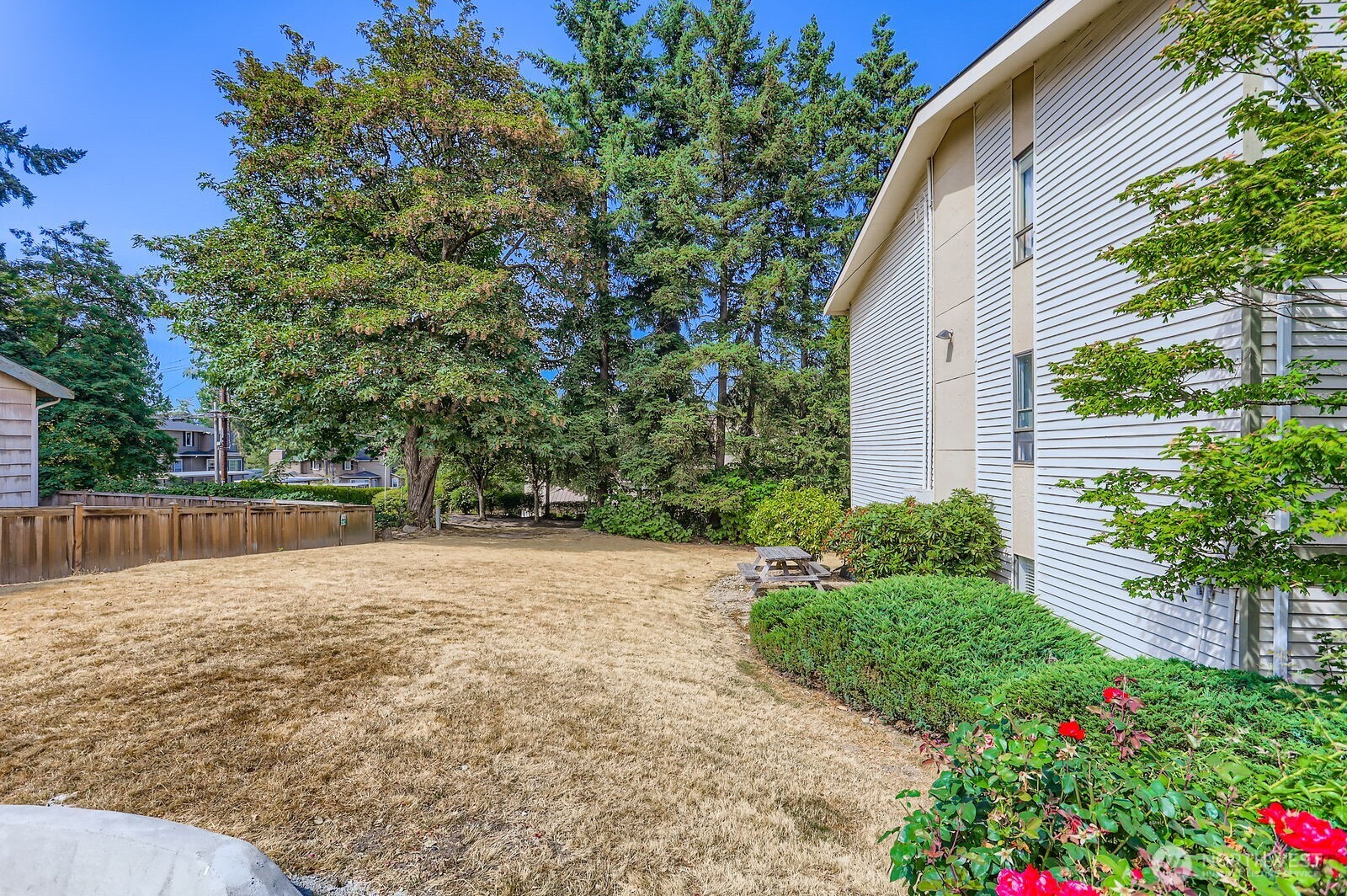 830 Kirkland Way, Unit 204 Kirkland, WA 98033 - Photo 24 of 27 a view of backyard with potted plants and a large tree