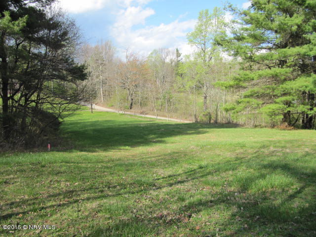0 Level Bottom Road Northeast Check, VA 24072 - Photo 1 of 15 a view of a grassy field with trees