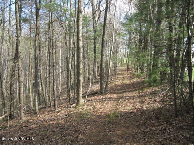 0 Level Bottom Road Northeast Check, VA 24072 - Photo 11 of 15 a view of backyard with green space