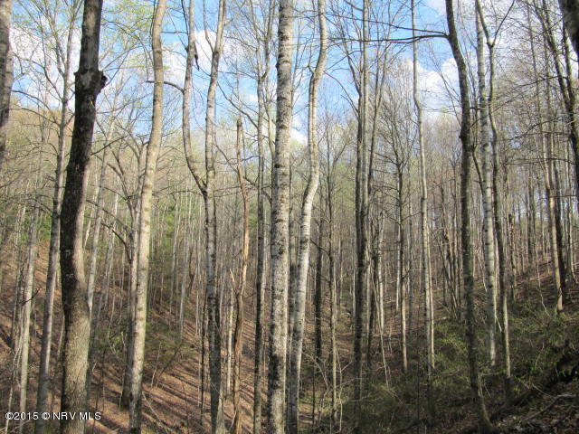 0 Level Bottom Road Northeast Check, VA 24072 - Photo 13 of 15 a view of a yard with lots of trees