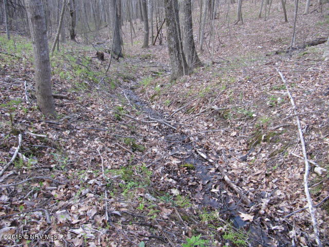0 Level Bottom Road Northeast Check, VA 24072 - Photo 15 of 15 a view of a yard with large trees