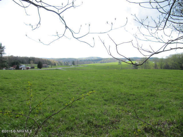 0 Level Bottom Road Northeast Check, VA 24072 - Photo 2 of 15 a view of a field of grass and trees