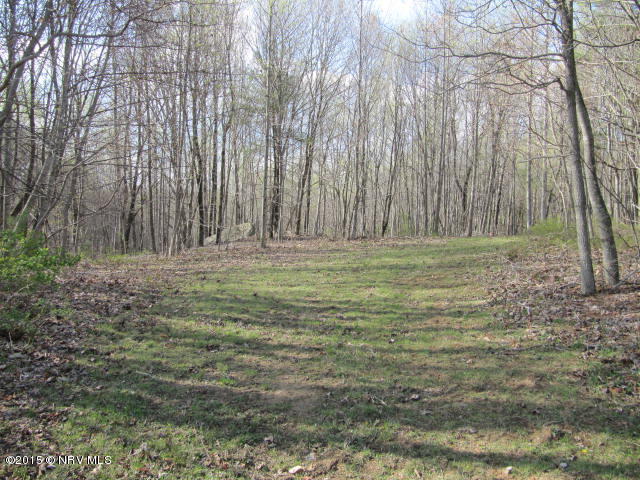 0 Level Bottom Road Northeast Check, VA 24072 - Photo 4 of 15 a view of outdoor space with green field